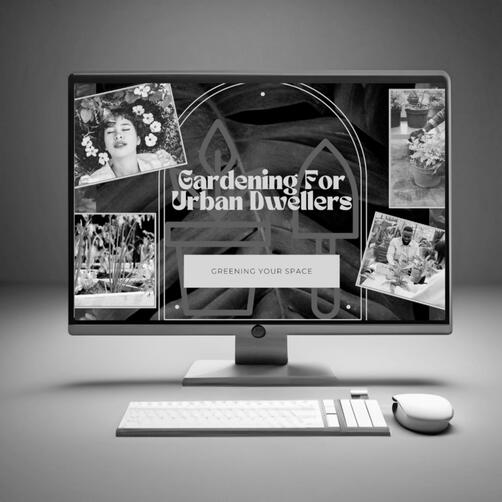 Articulate Storyline Course Demo 1